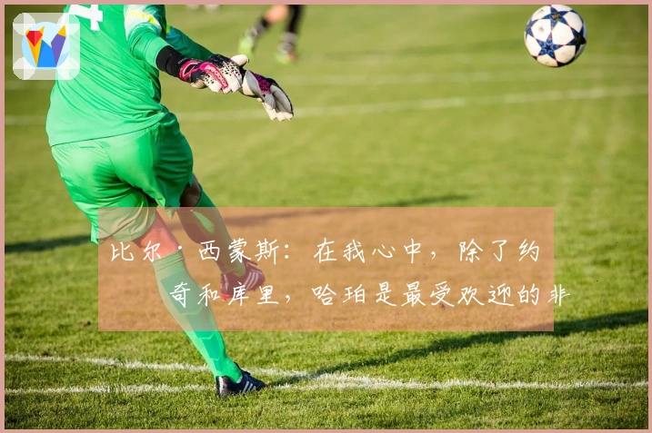 比尔·西蒙斯：在我心中，除了约基奇和库里，哈珀是最受欢迎的非凯尔特人球员